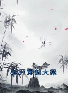 赵开丰璇玑大梁皇子