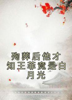 王菲 bv