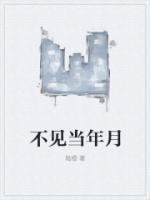 不见当年月下人