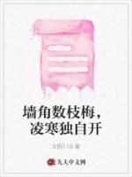 墙角数枝梅凌寒独自开是什么意思