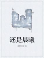 叶凡喜欢姬紫月还是晨曦