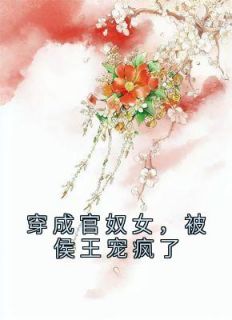 孟柠萧胤