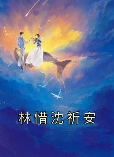林惜沈祈安静安寺