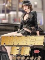 我的老婆是车模之丝袜情缘电影