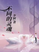 不同的灵魂颜色代表什么