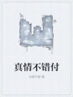 真情不负