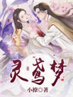 裴莺莺是什么电视剧