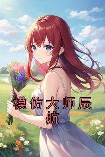 模仿大师辰航官网入口