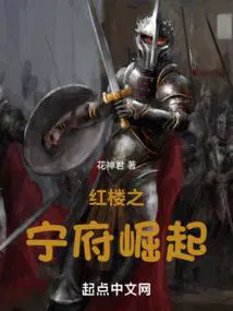 红楼之宁府夫人
