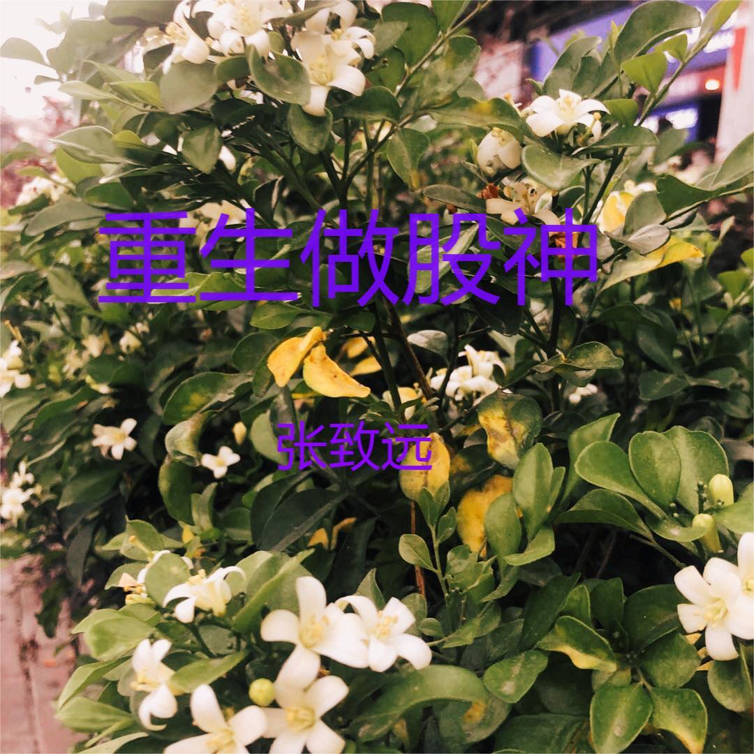 重生做股神免费阅读