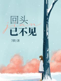 回头已不见的收藏