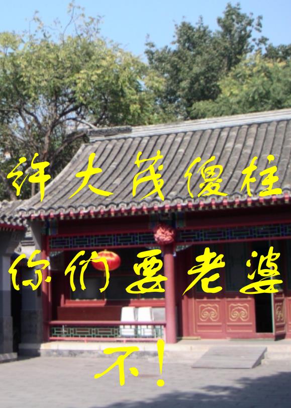 四合院许大茂修车
