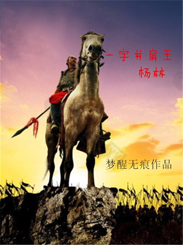 一字并肩王杨林兵法