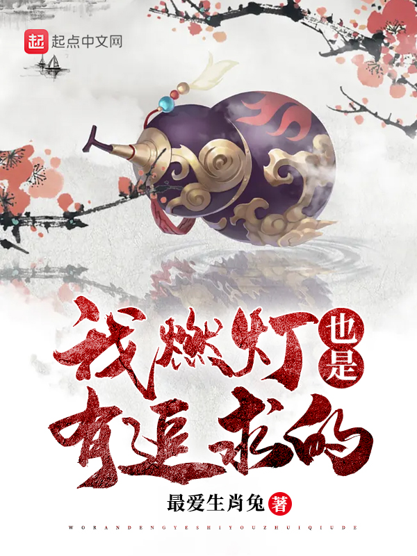 我燃灯也是有追求的英文