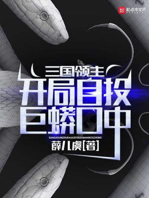 三国领主时代顶点
