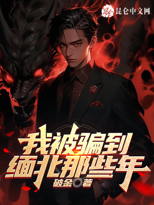 我被骗到缅北的那些年有声