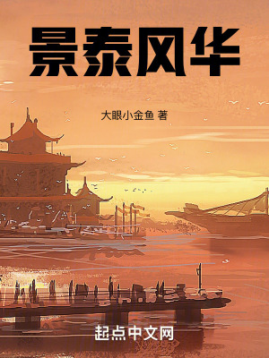 景泰风华TXT全本txt