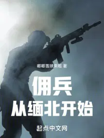 烈风天翼陀螺