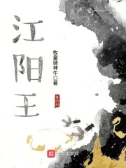 高手下山叶北辰免费阅读