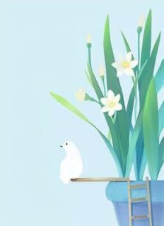 江亦池擎全文最新章节更新时间