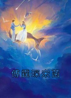 傅廷深宋凝什么