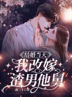 陆迟墨黎漾免费阅读全文1