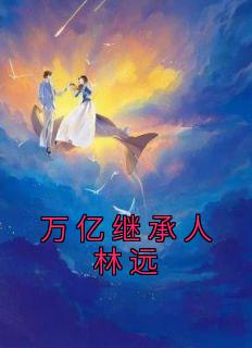 继承万亿家产林天