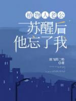男主人公叫陆沉