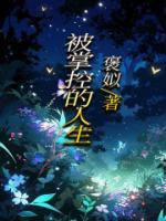 被掌控的人生np