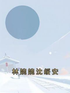 沈婉儿林婉儿