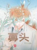 寡头政治和贵族政治的区别