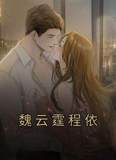 主角叫魏云的