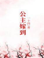 公主嫁到国语电视剧在线观看免费