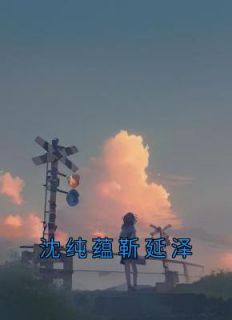 靳川泽沈眷是什么