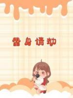 陆景行 沈念溪