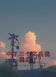 中了三亿怎么花