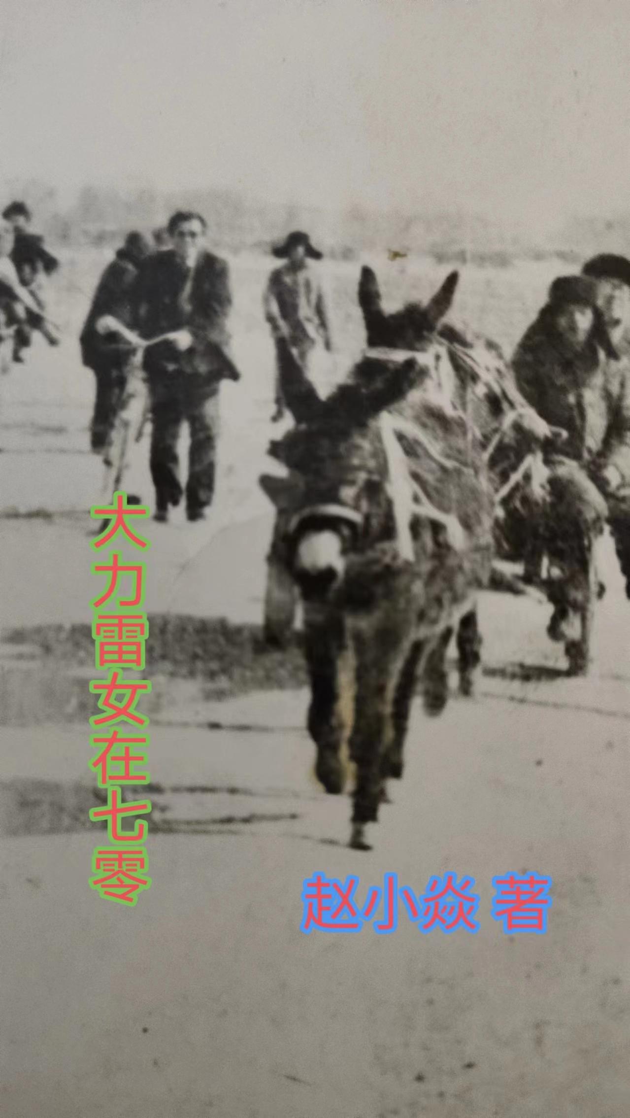 大力雷女在七零最新章节