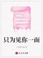 只为见你一面什么歌词