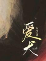 爱犬的奇迹免费观看