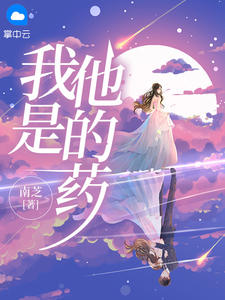 我是他的药by陈以