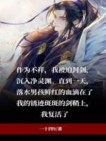 不祥之刃价格