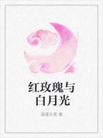 红玫瑰与白月光 漫漫长夜