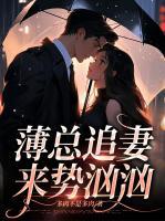 薄总追妻路漫漫