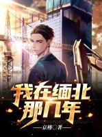 我在缅甸当司机