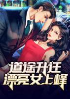 仕途升迁漂亮女领导(仓狼)TXT全集