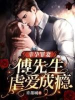 幸孕罪妻傅先生虐爱成瘾完整版