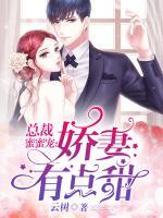 总裁蜜蜜宠老婆有点甜短剧免费观看