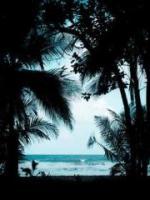 我的妈妈是虐文女主