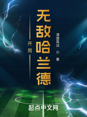 开局无敌哈兰德云盘