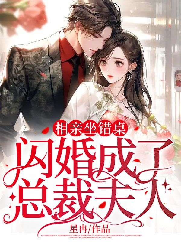 闪婚成了总裁夫人